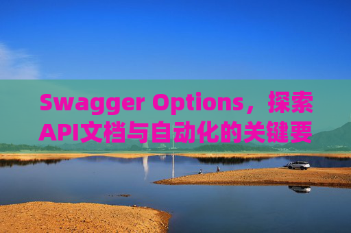 Swagger Options，探索API文档与自动化的关键要素